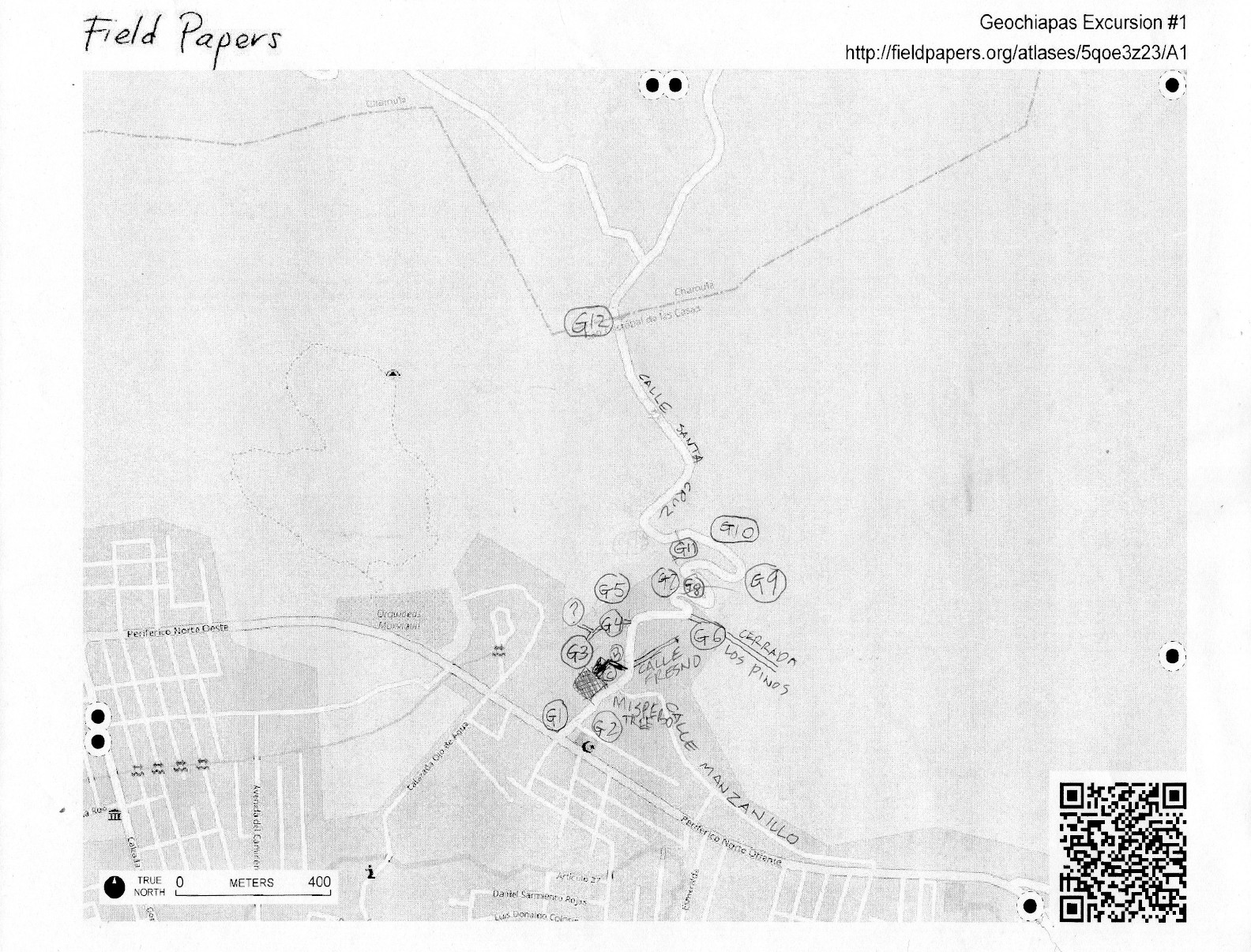 Geochiapas Field Paper.jpg
