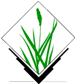 Logo-grass.png